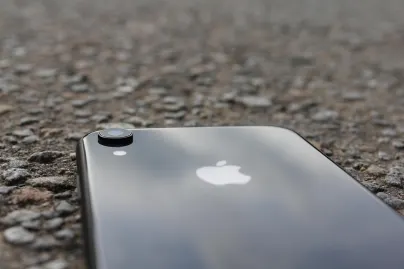 Casino Jungle Raja Farsímaforrit